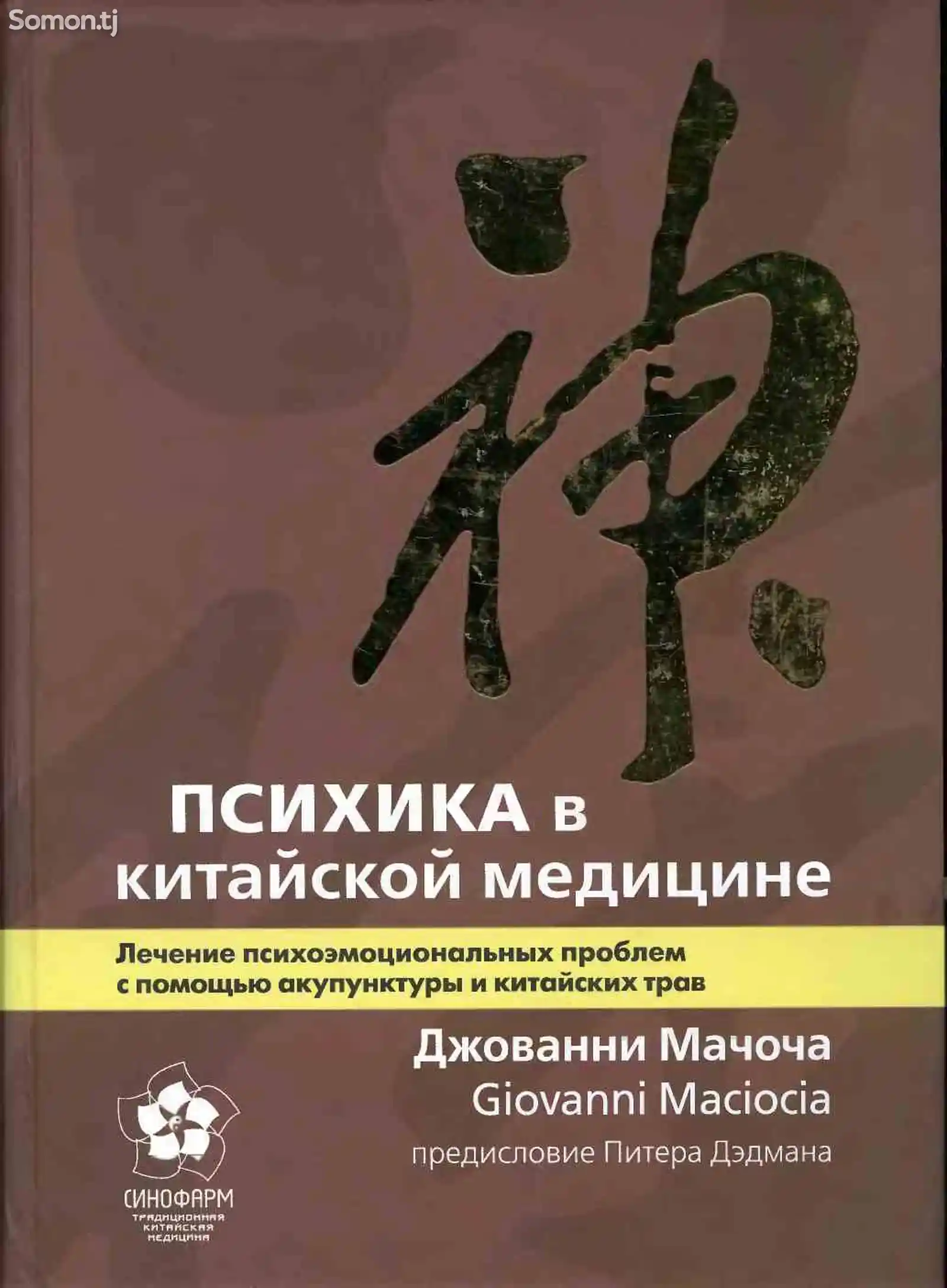 Книга - Психика в китайской медицине-1