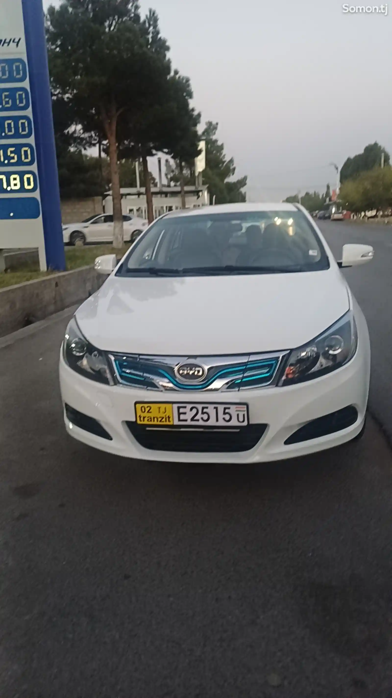 BYD Другие модели, 2019-3