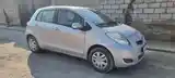 Toyota Vitz, 2010-3