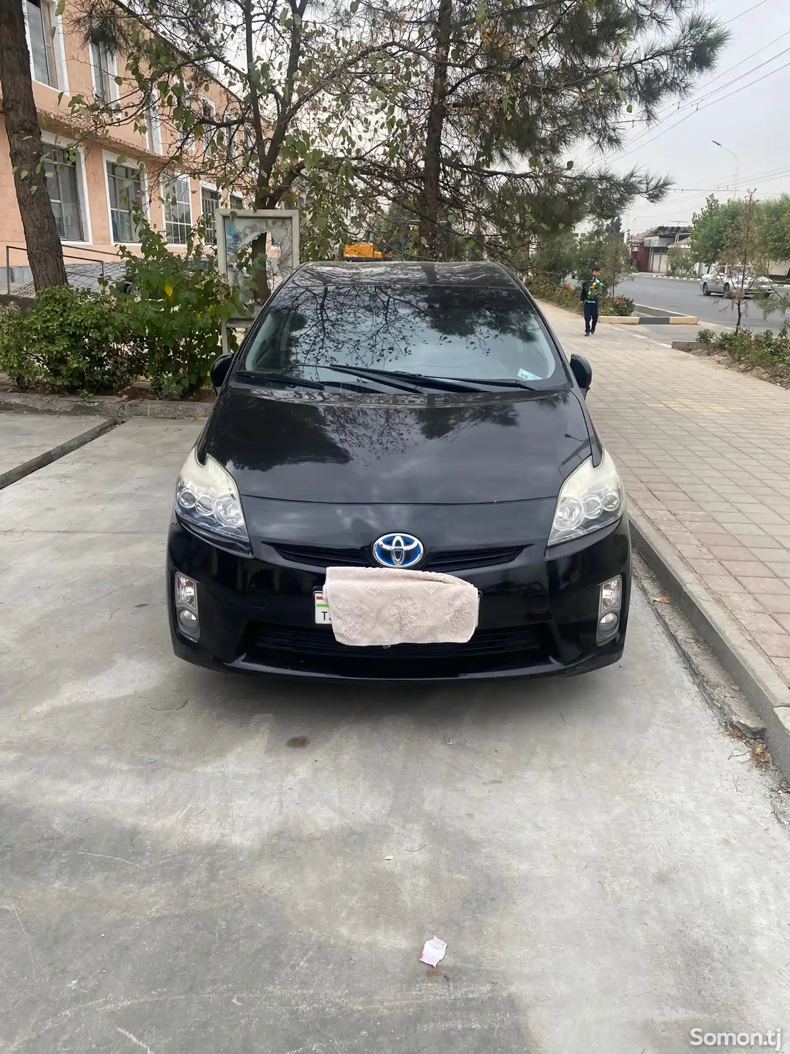 Toyota Prius, 2010-1