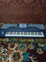 Синтезатор Korg-800-2