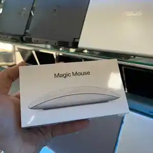 Мышка от Apple Magic Mouse