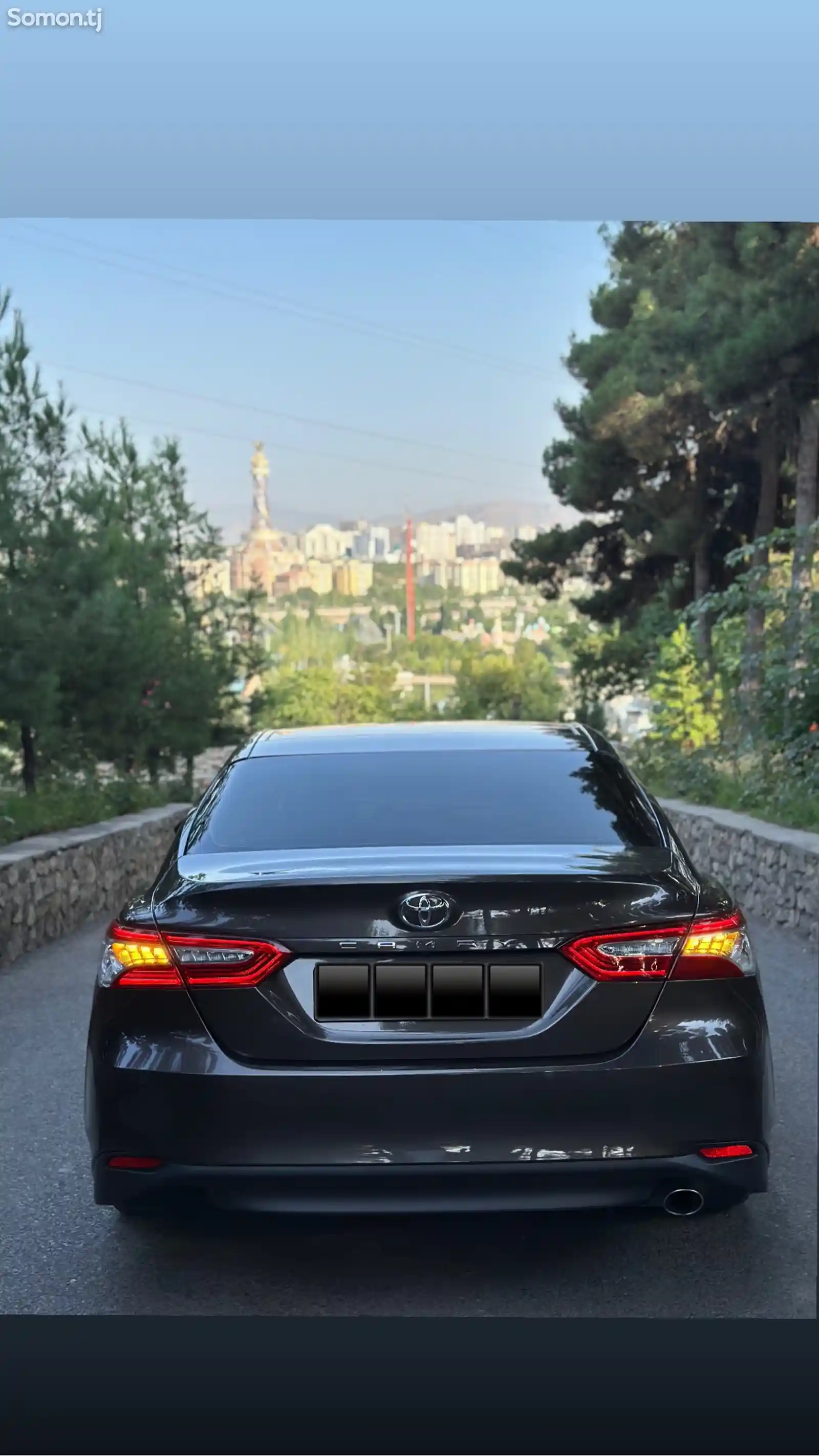 Toyota Camry, 2019-10