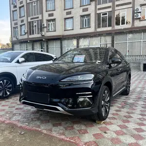 BYD Song Plus Flagship, 2024