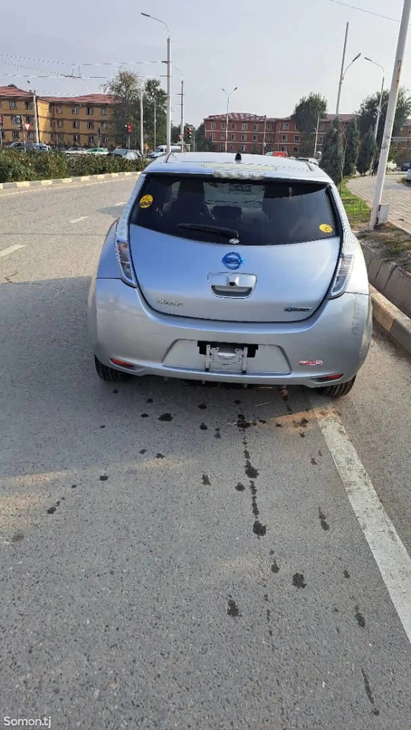 Nissan Leaf, 2015-5