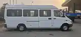 Микроавтобус Mercedes-Benz Sprinter, 2006-4