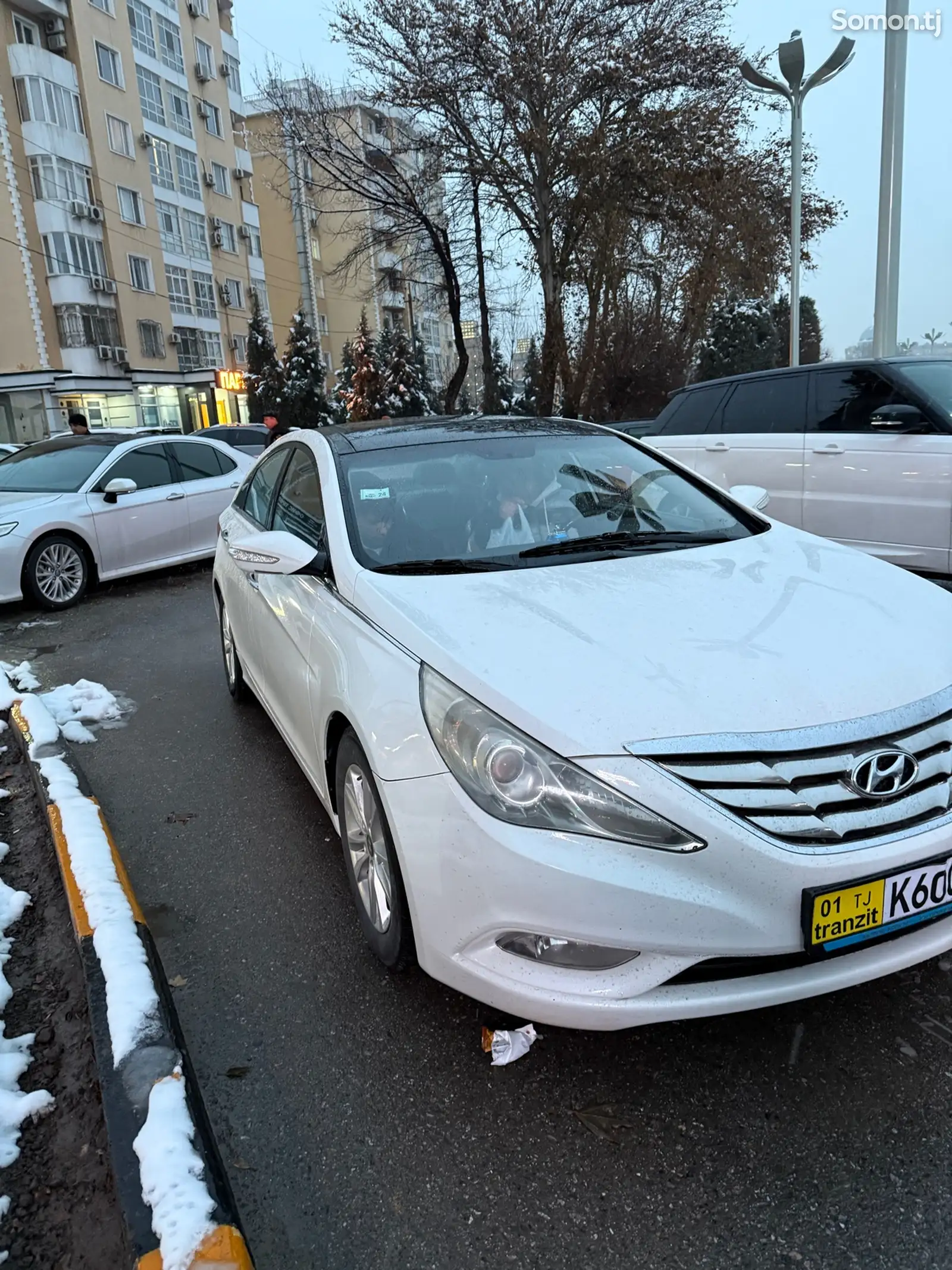 Hyundai Sonata, 2010-1