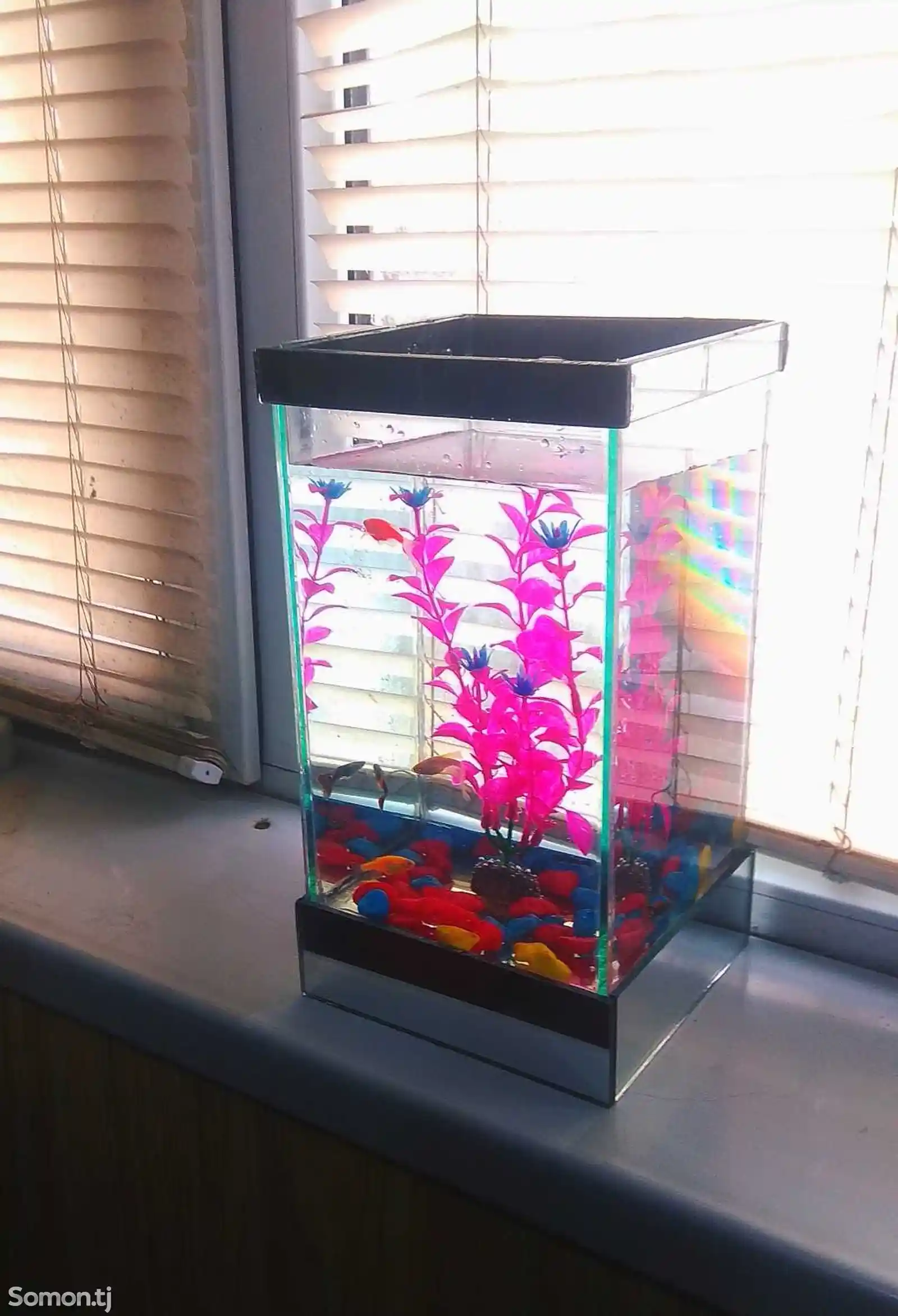Мини-аквариум 4л с рыбками-2
