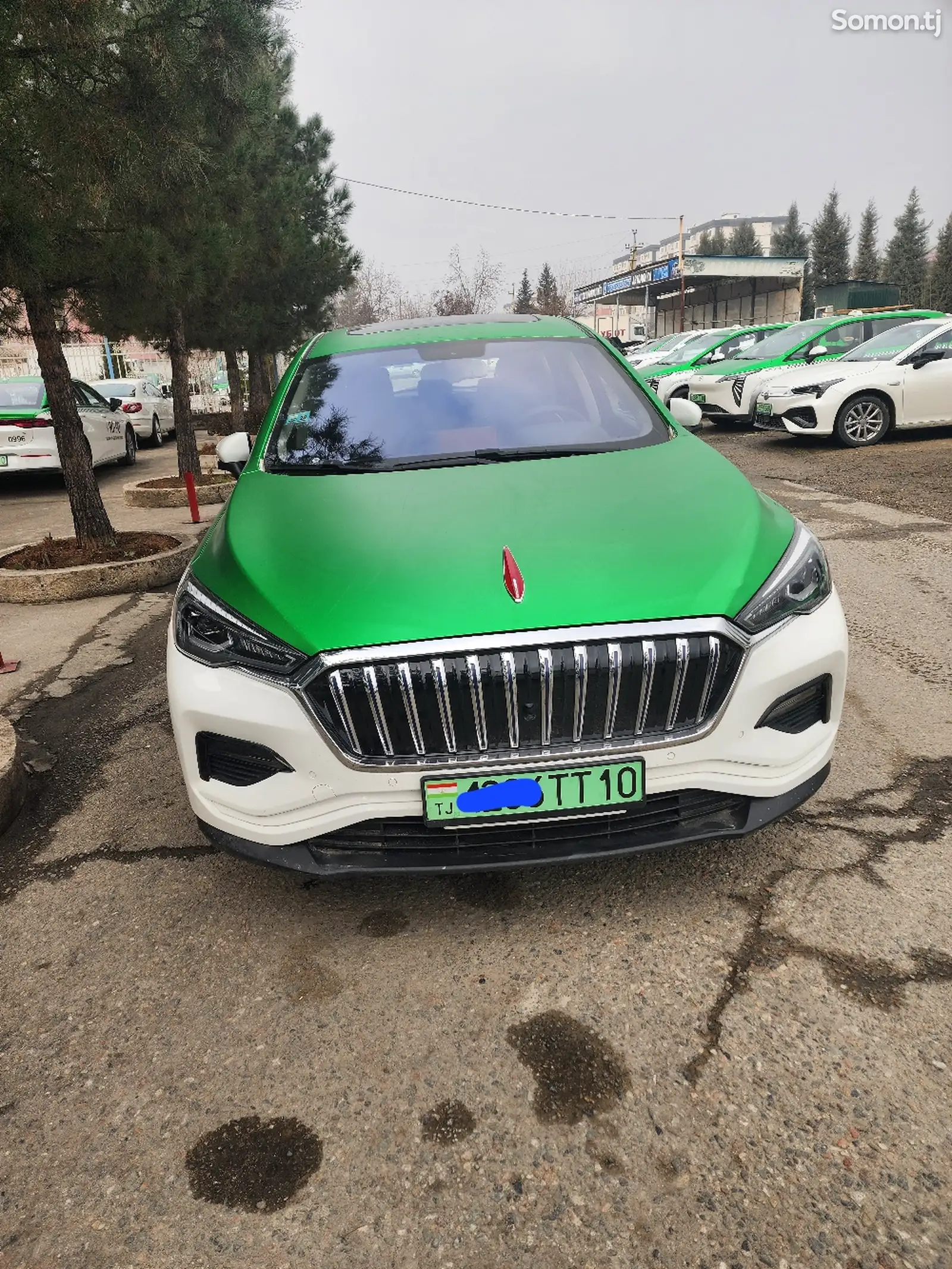 Hongqi E-HS3, 2019-1