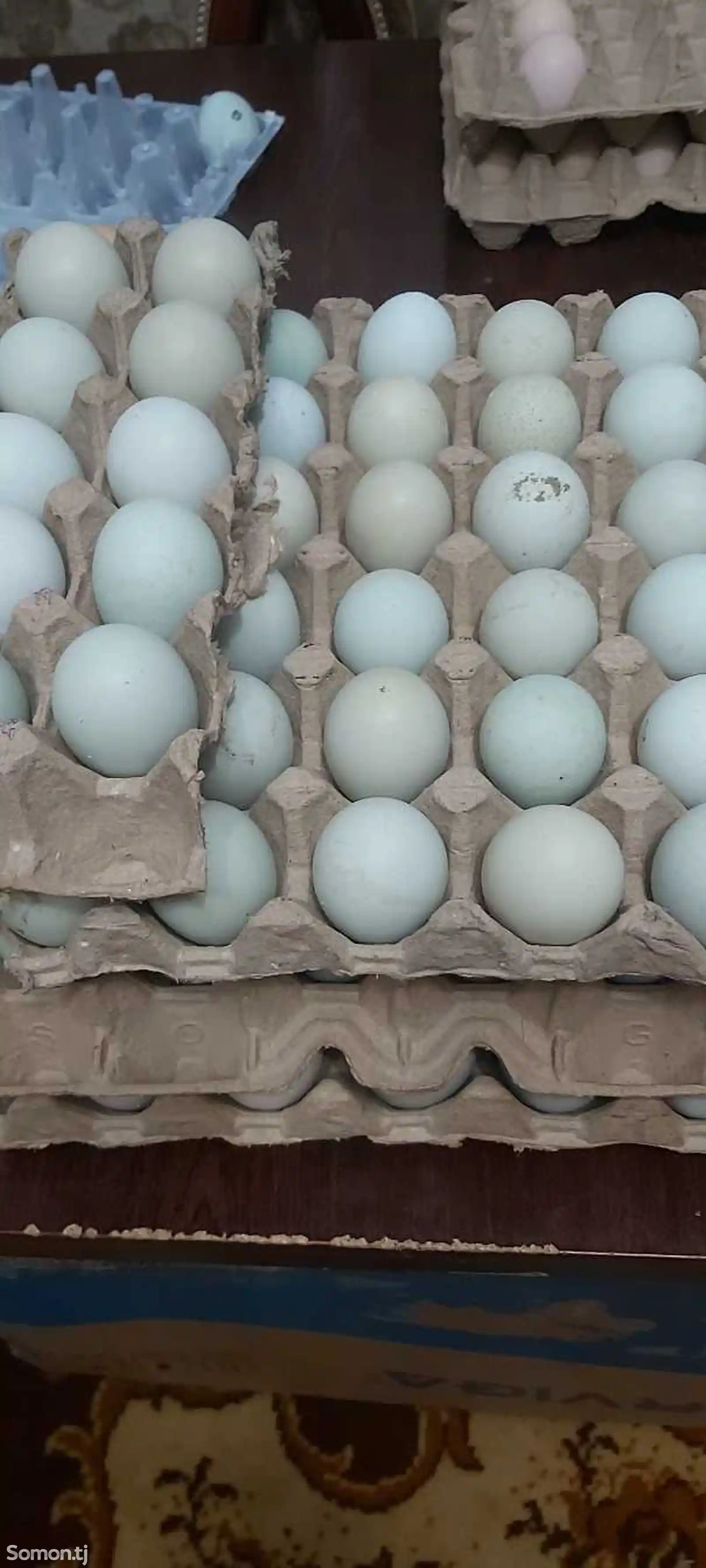 Яйца для инкубации-3