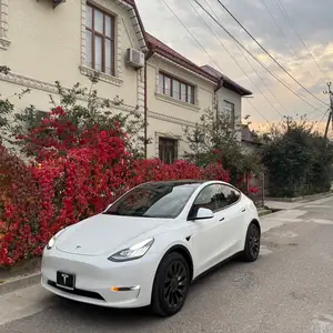 Tesla Model Y, 2022