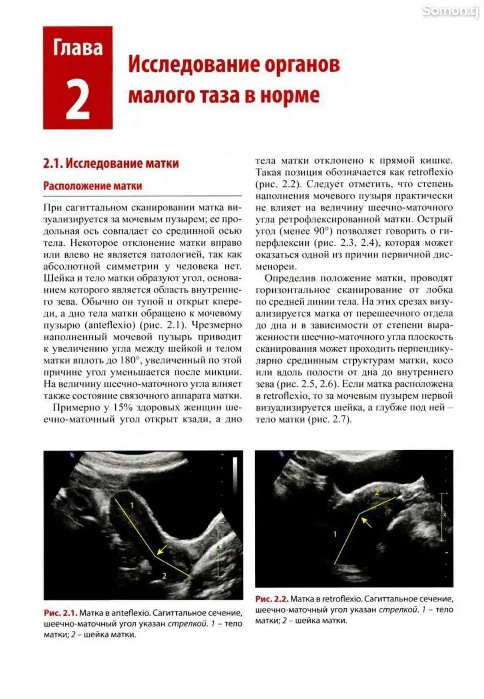Книга руководство по ультразвуковой диагностике в акушерстве и гинекологии-4