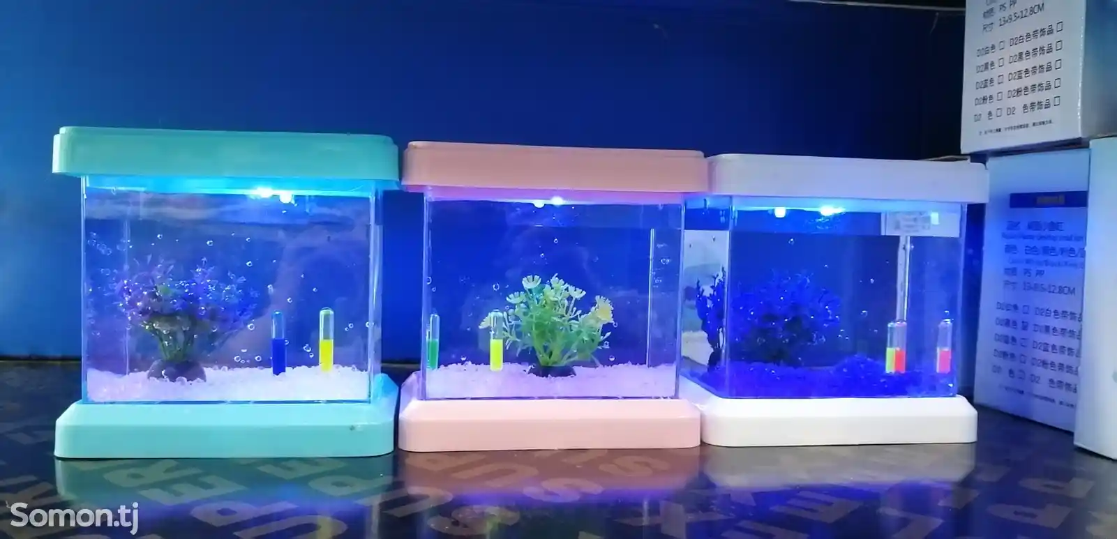 Мини-аквариум-4