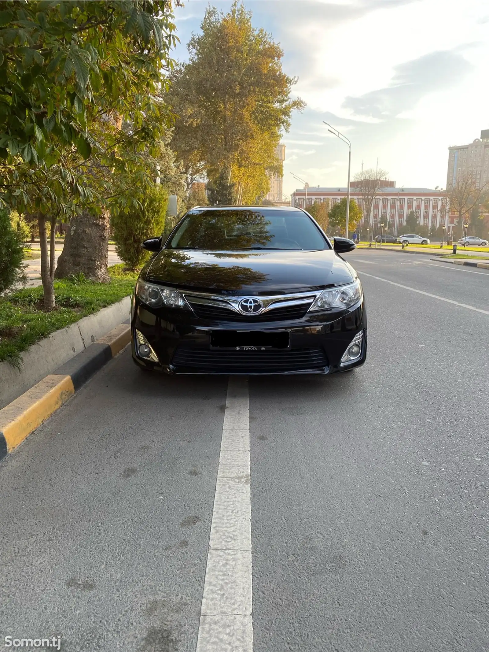 Toyota Camry, 2013-1