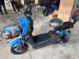 Скутер 800w-8