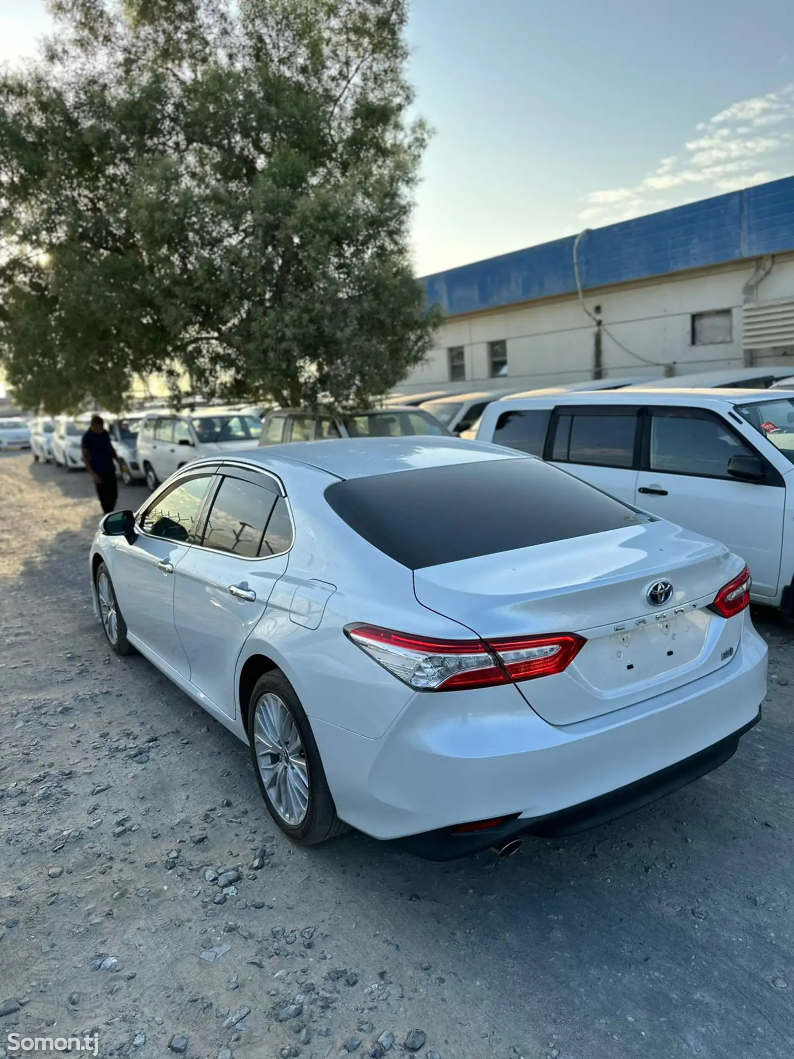 Toyota Camry, 2017-7