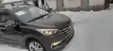 Hyundai Santa Fe, 2016-11