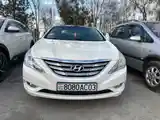 Hyundai Sonata, 2010-4