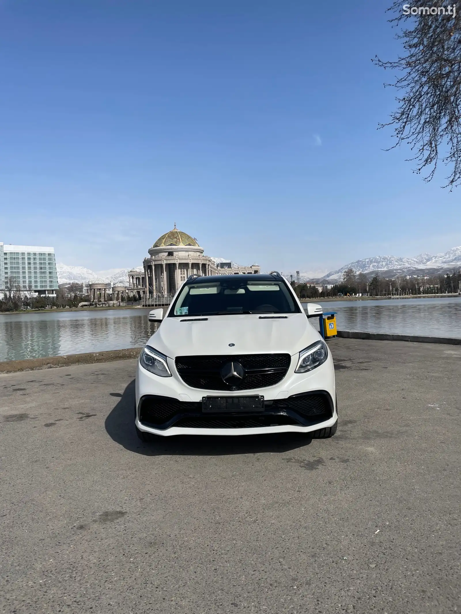 Mercedes-Benz GLE class, 2017-1