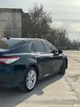 Toyota Camry, 2019-6