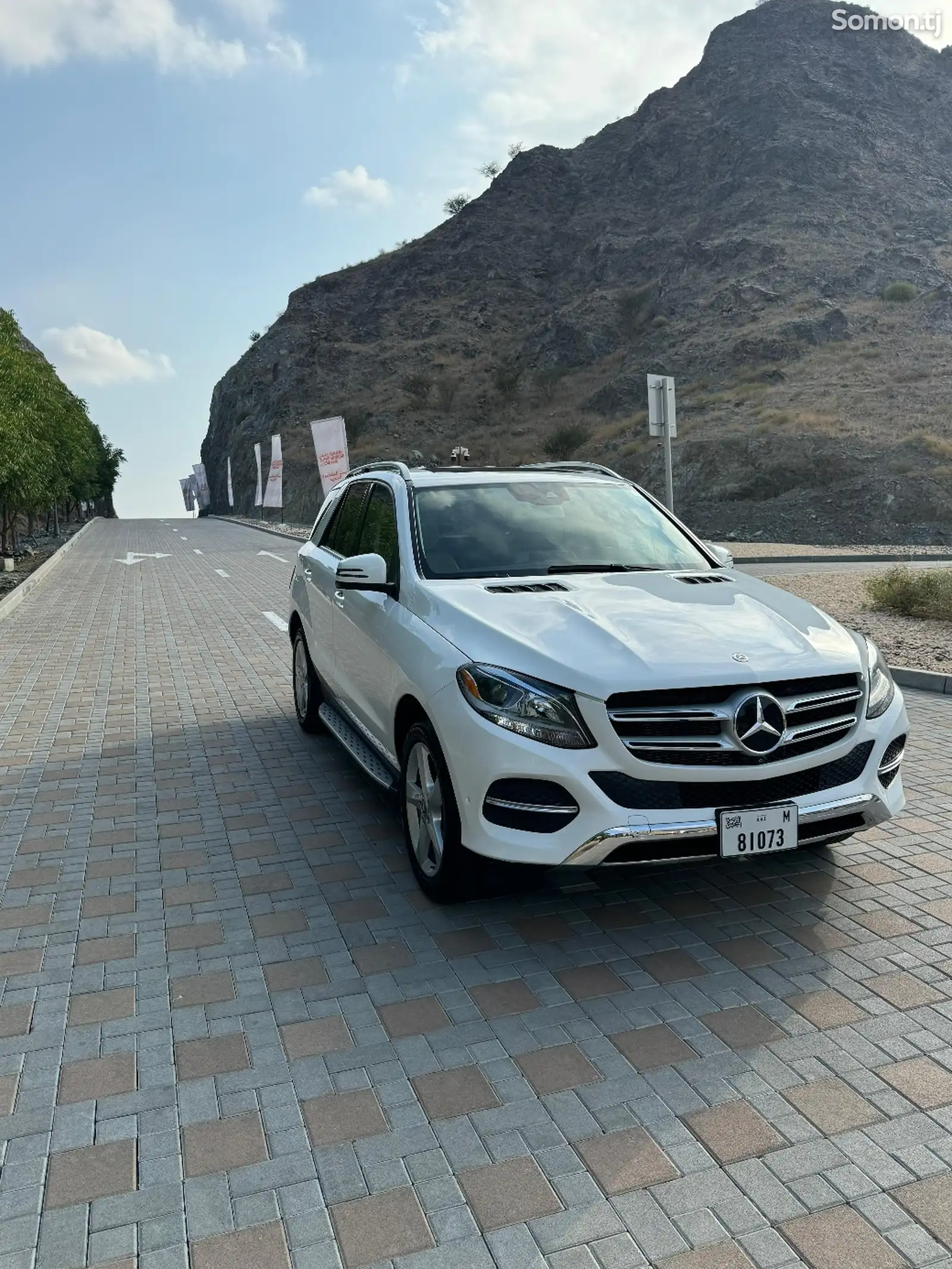 Mercedes-Benz GLE class, 2018-1