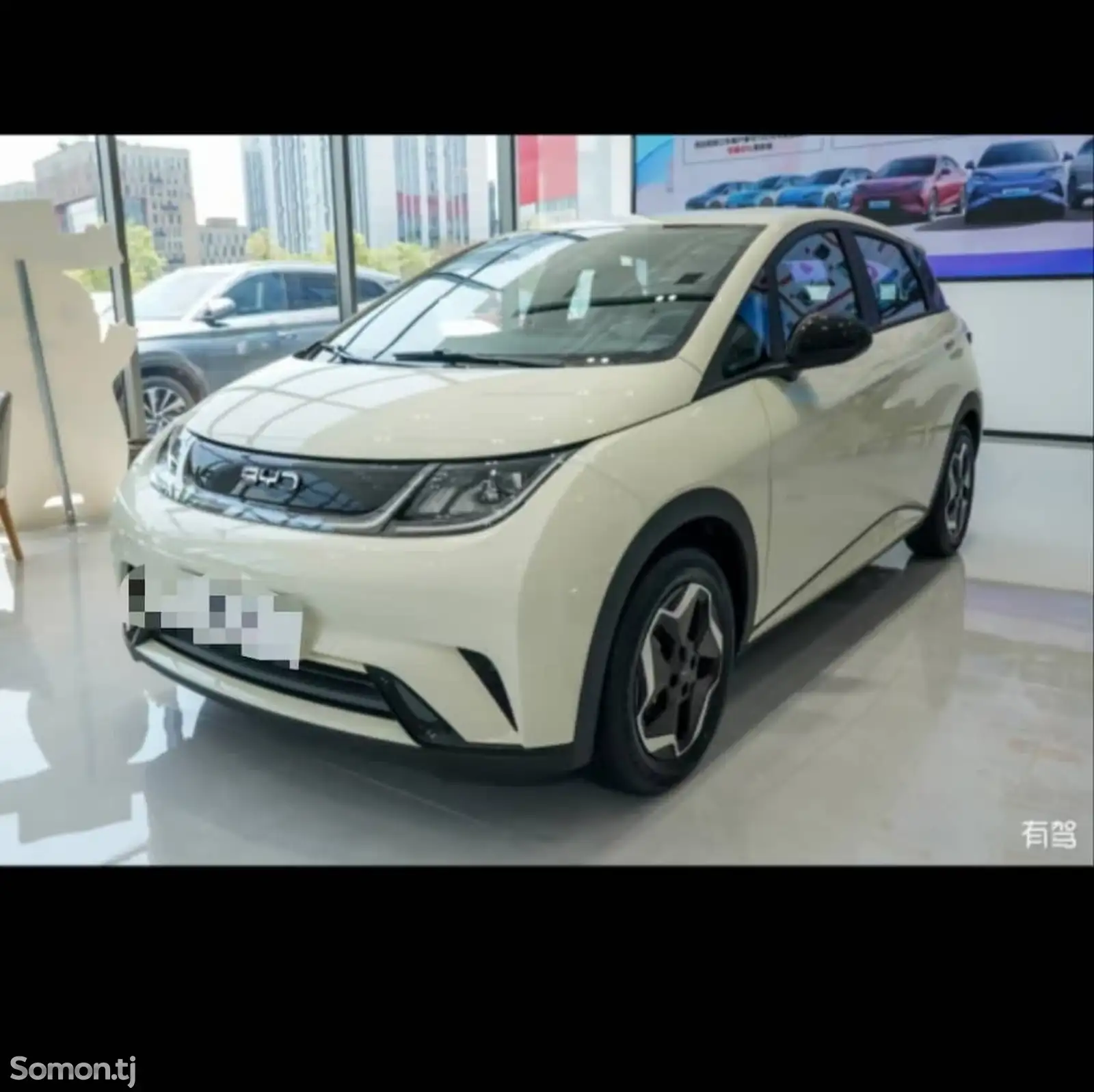 BYD Dolphin, 2024-9