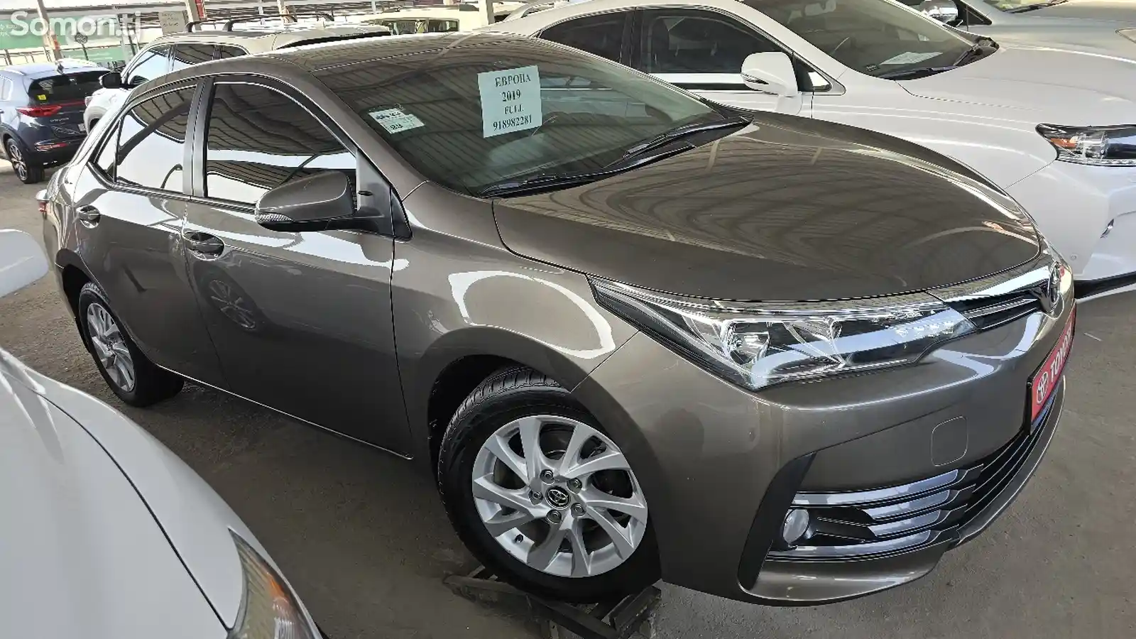 Toyota Corolla, 2019-5