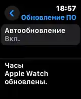 Смарт часы Apple Watch SE 44mm-8