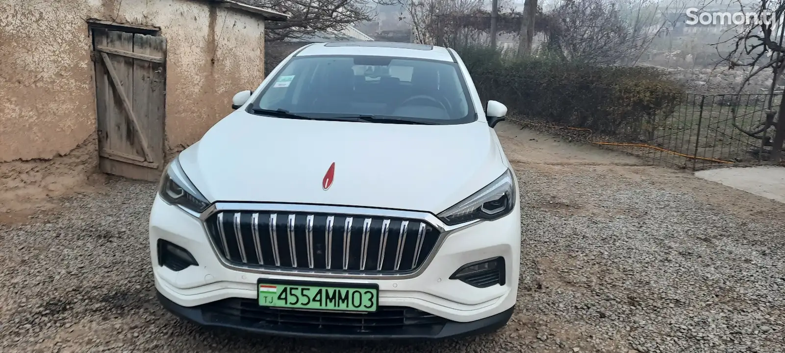 Hongqi E-HS3, 2019-1