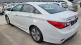 Hyundai Sonata, 2014-3