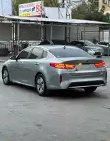 Kia Optima, 2019-4