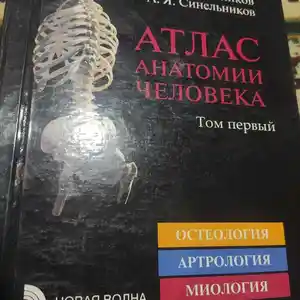 Атлас Анатомия Синельников