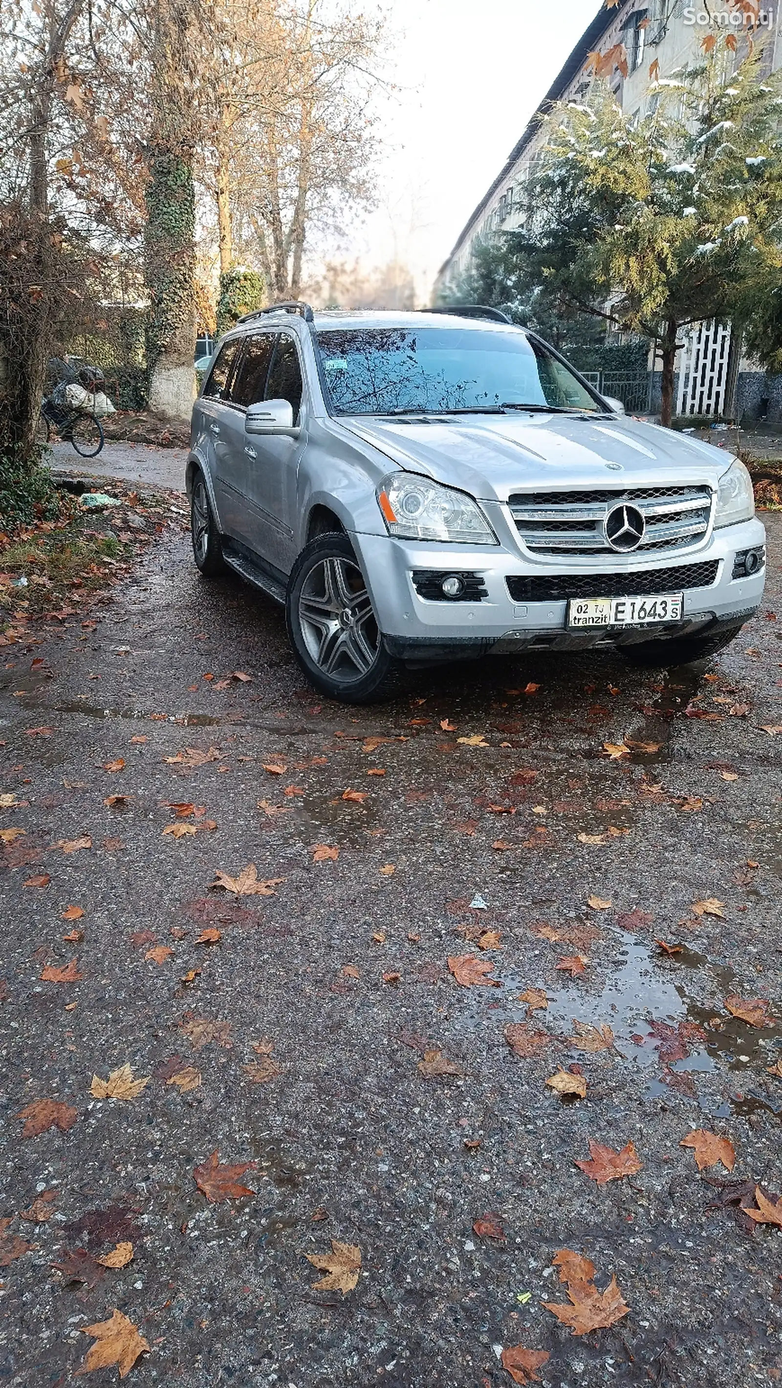 Mercedes-Benz GL class, 2007-1