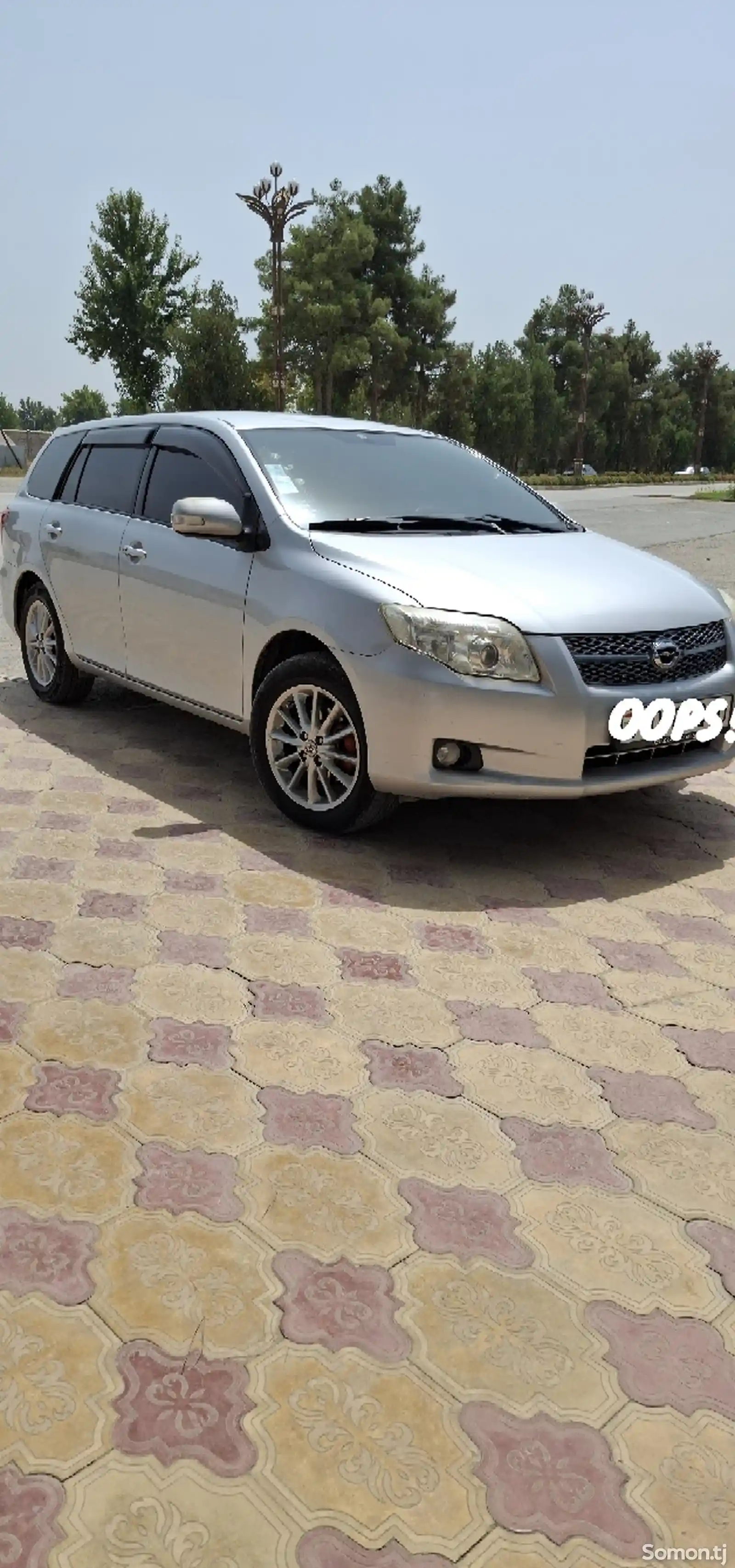 Toyota Fielder, 2007-5