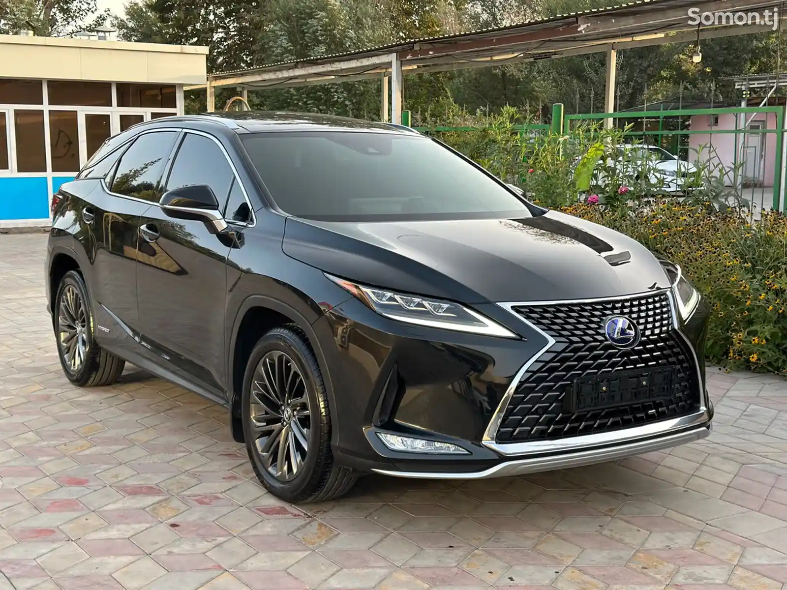 Lexus RX series, 2022-1