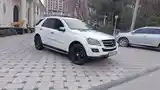 Mercedes-Benz ML class, 2010-9