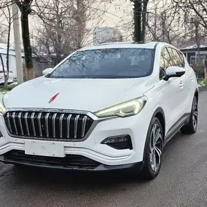 Hongqi E-HS3, 2019