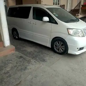 Toyota Alphard, 2008