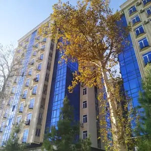 4-комн. квартира, 12 этаж, 118 м², Сино