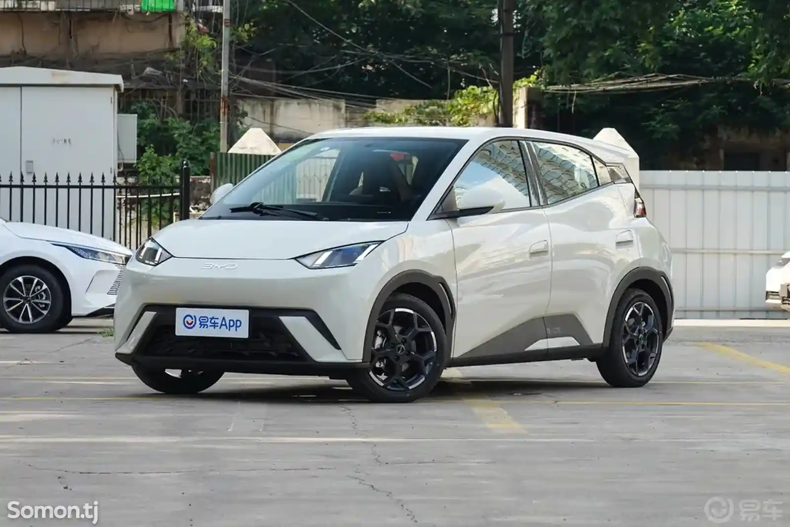 BYD Dolphin, 2024-1