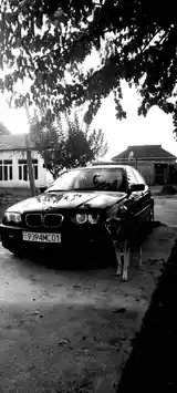 BMW 3 series, 1999-3