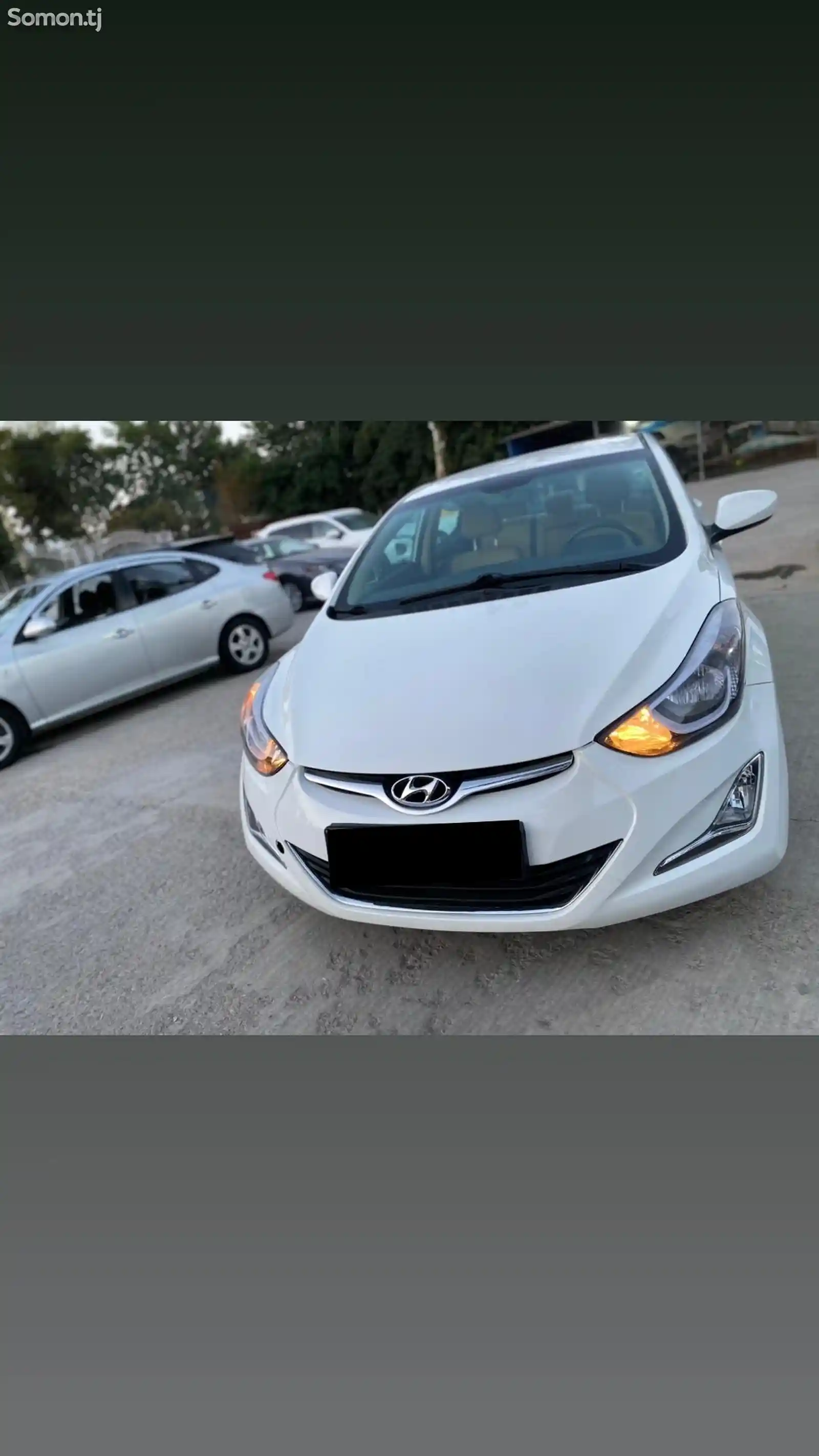 Hyundai Elantra, 2013-1