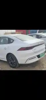 BYD Qin Plus, 2024-5