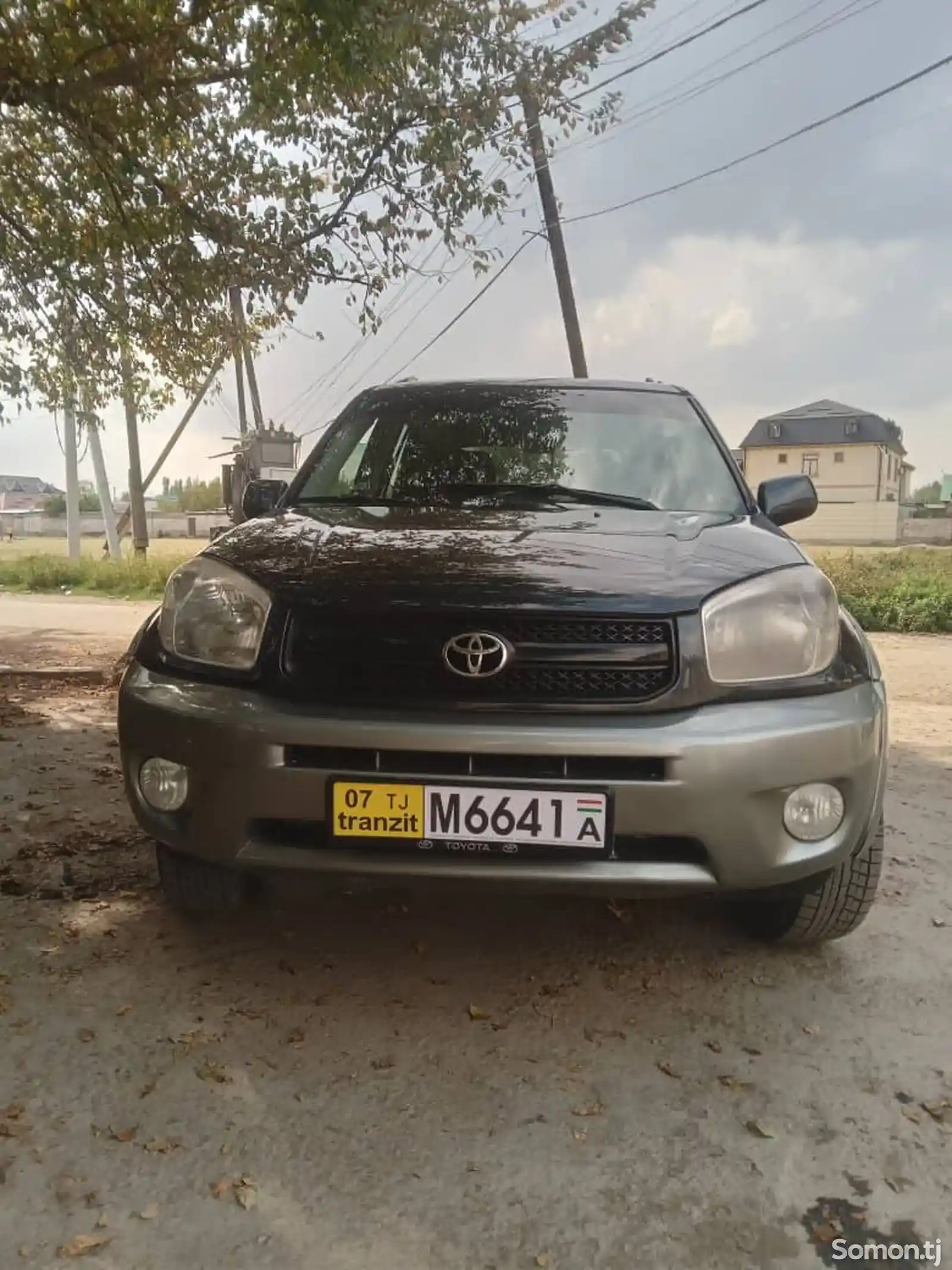 Toyota RAV 4, 2004-1