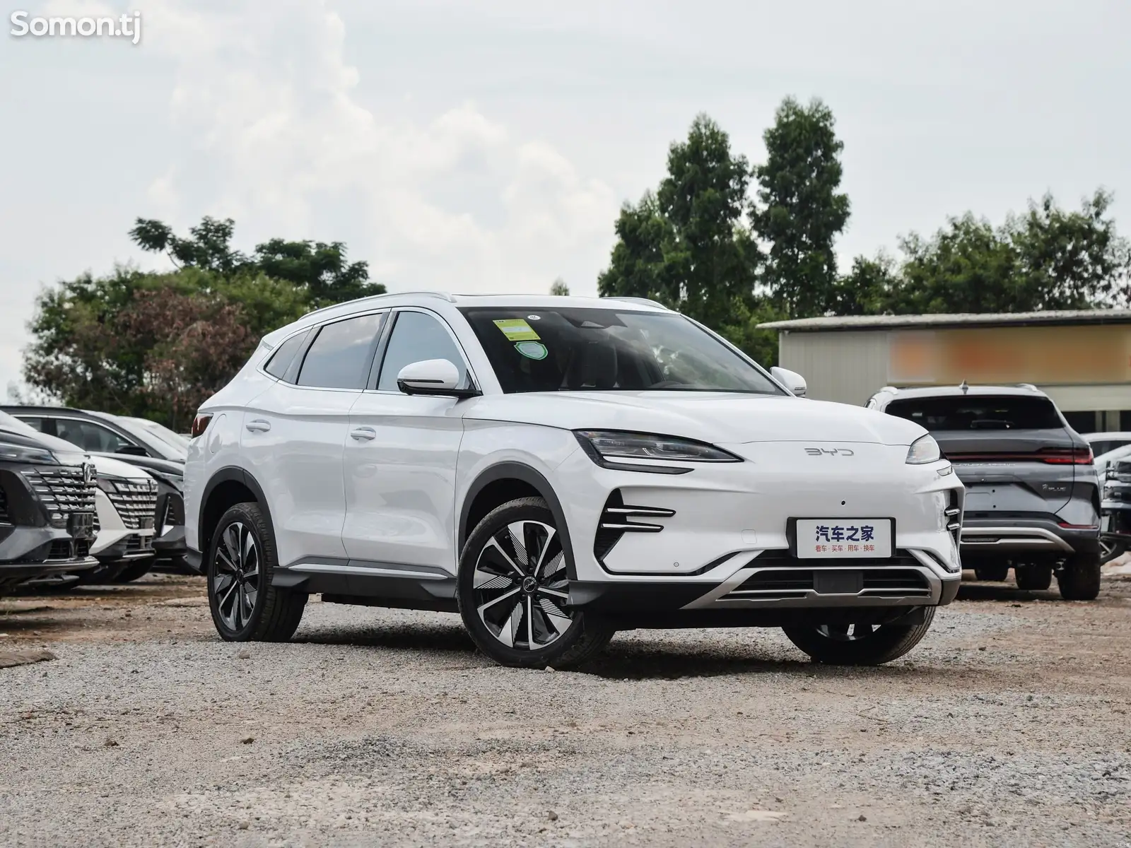 BYD Song Plus Flagship, 2024-1