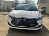 BYD Qin EV, 2024-2