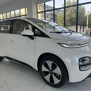 Wuling Bingo plus, 2023