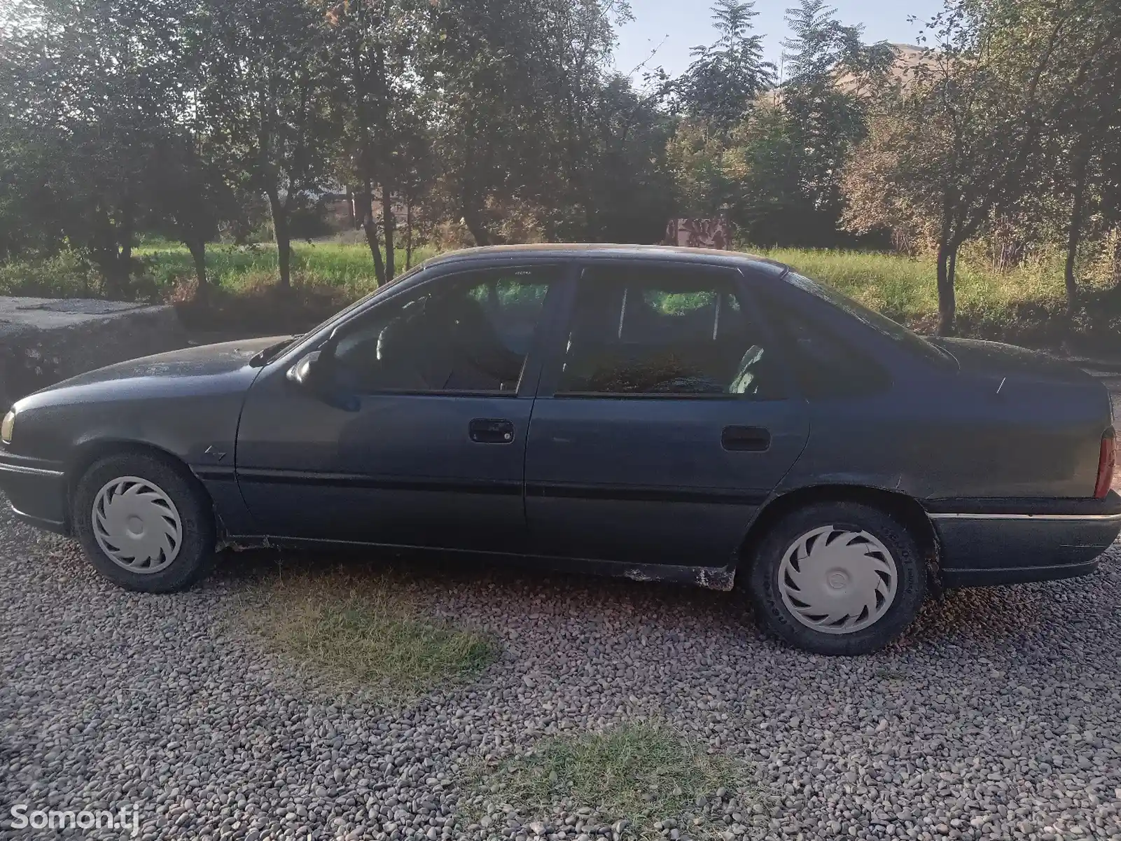 Opel Vectra A, 1995-6