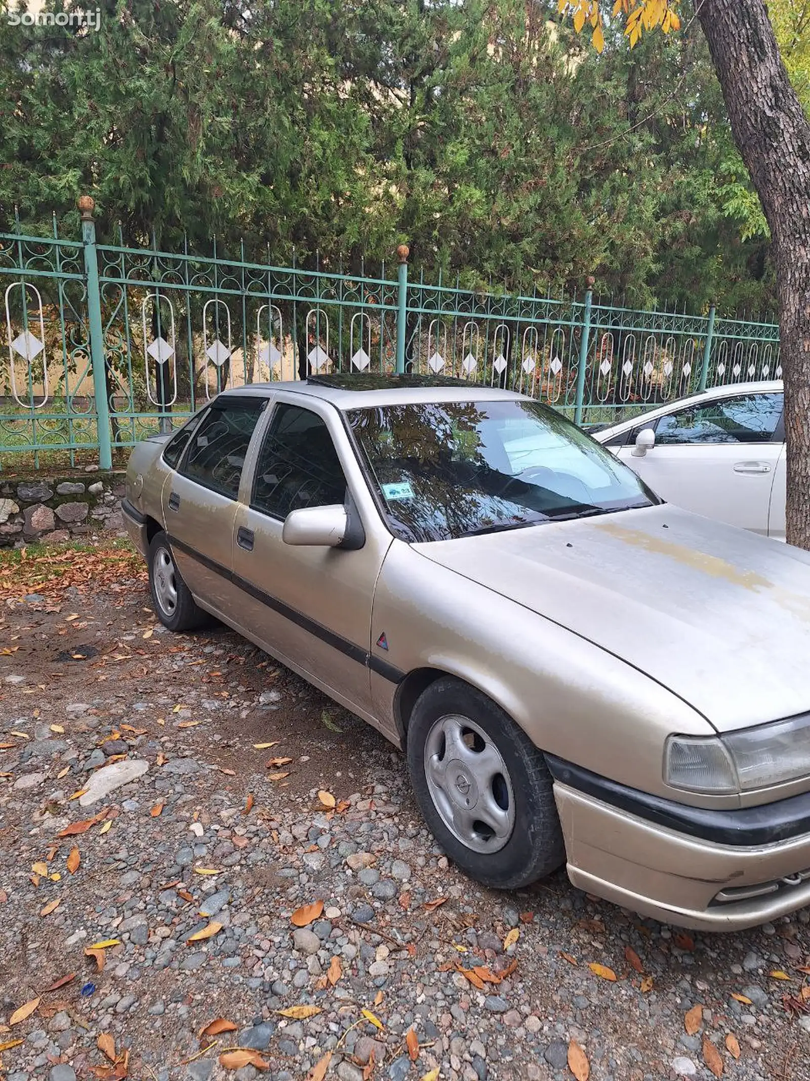 Opel Vectra A, 1994-1