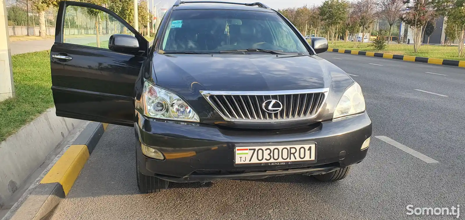 Lexus RX series, 2009-2